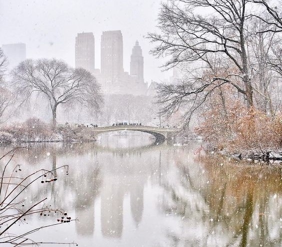 Central Park Winter