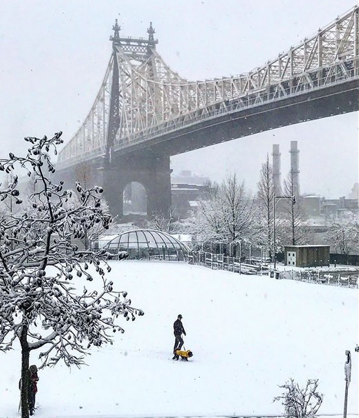 Snow in NYC