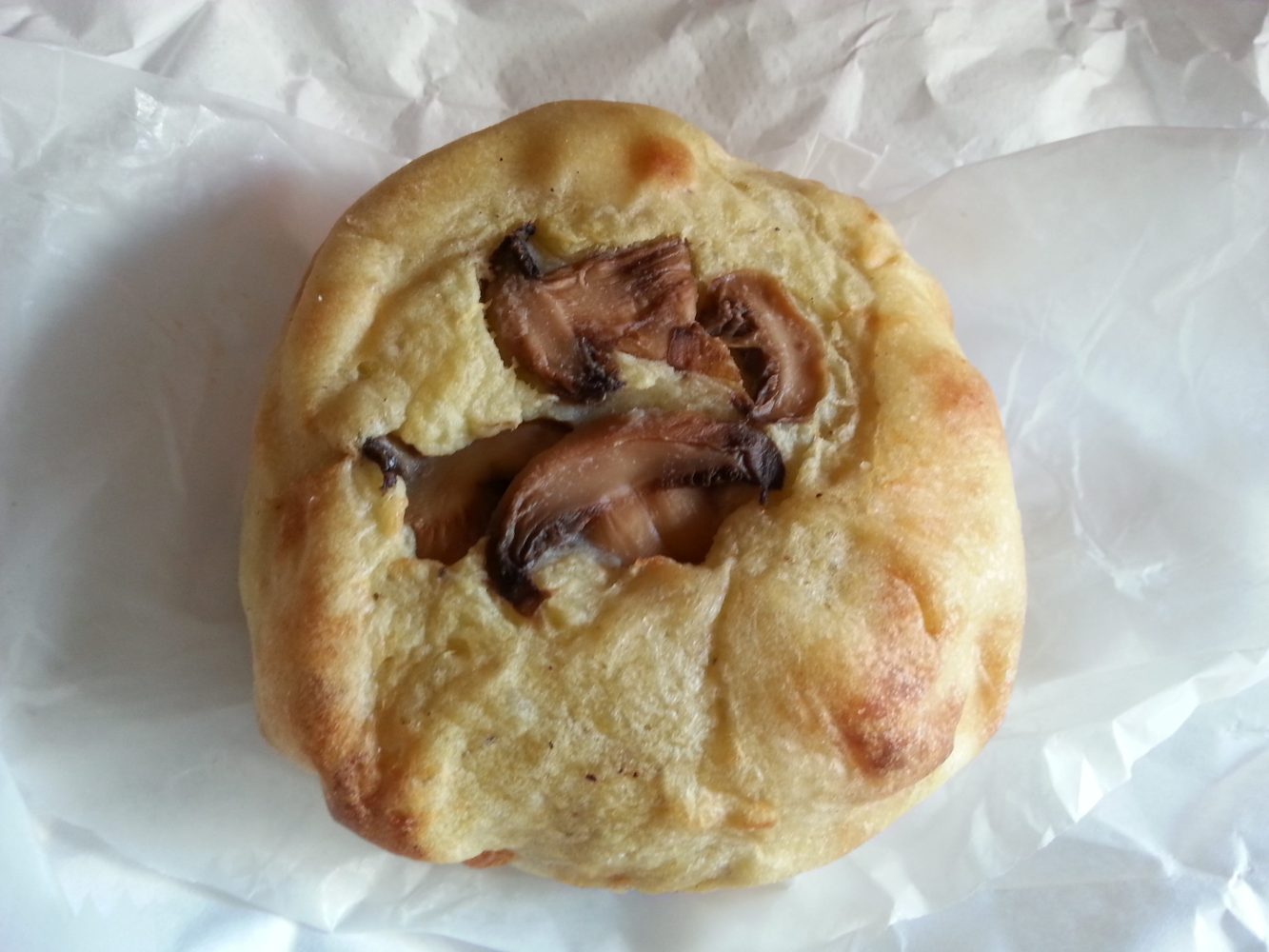 Yonah Schimmel Knish Bakery Mushroom Knish