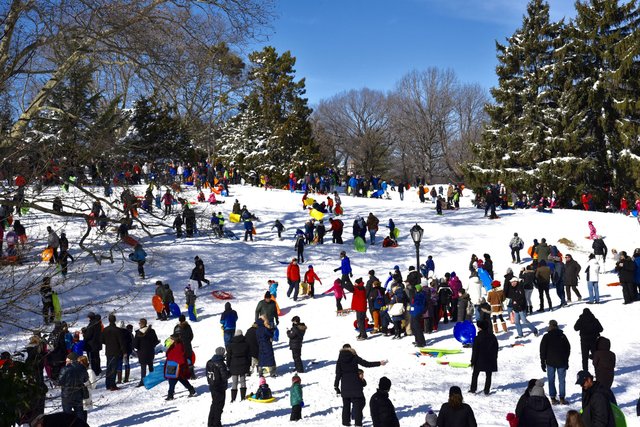 Central Park Sledding