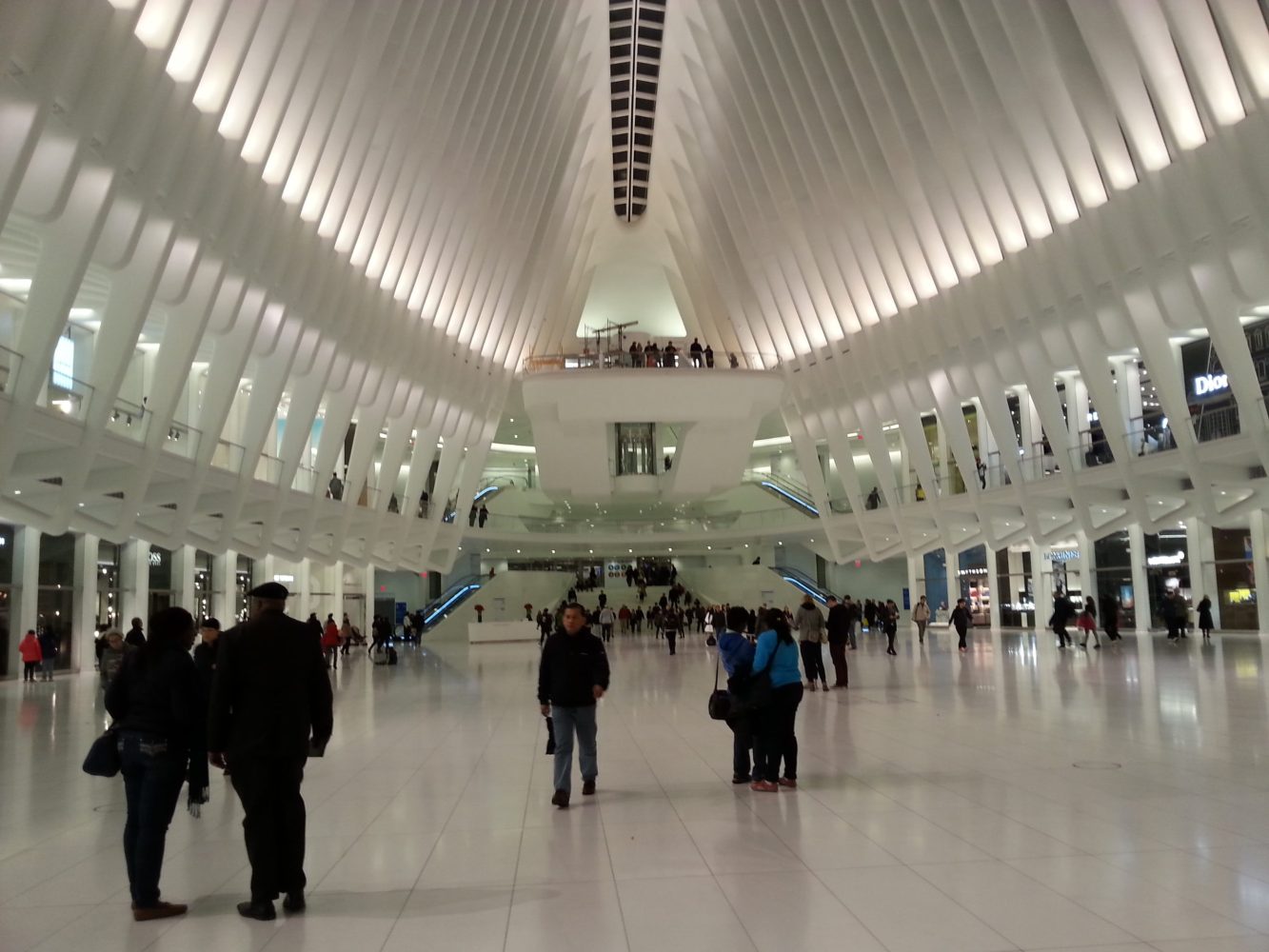 The Oculus