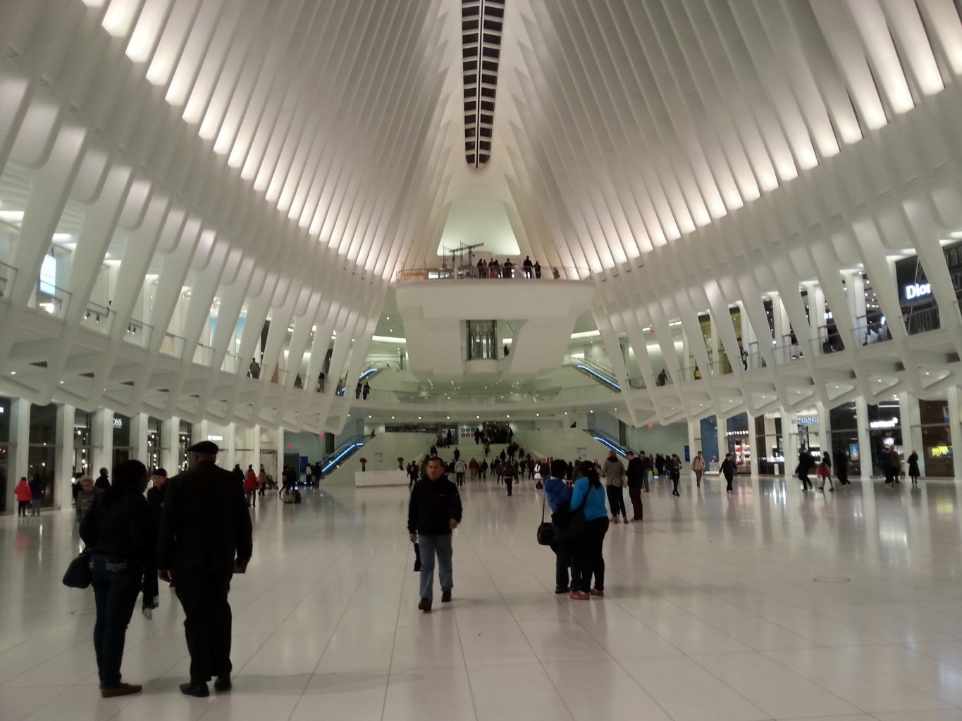 The Oculus