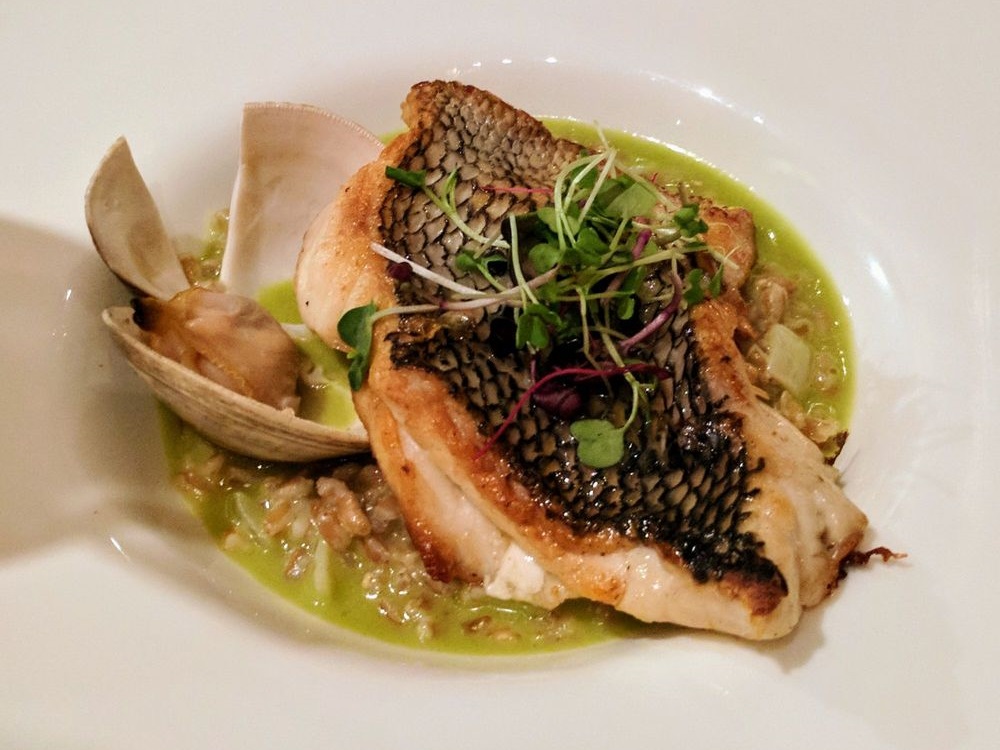 Kellari Taverna Striped Bass