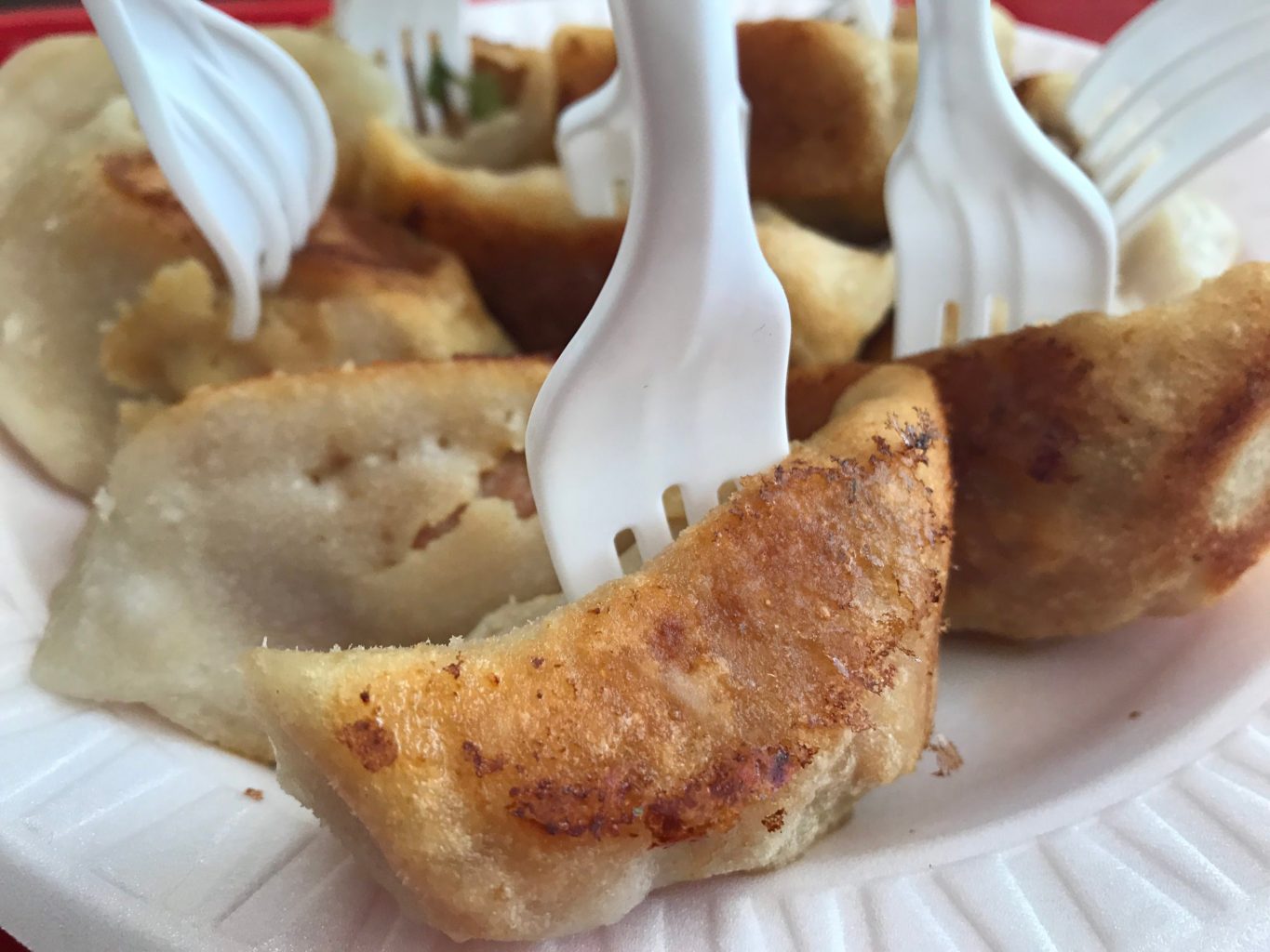 Tasty Dumpling Dumplings