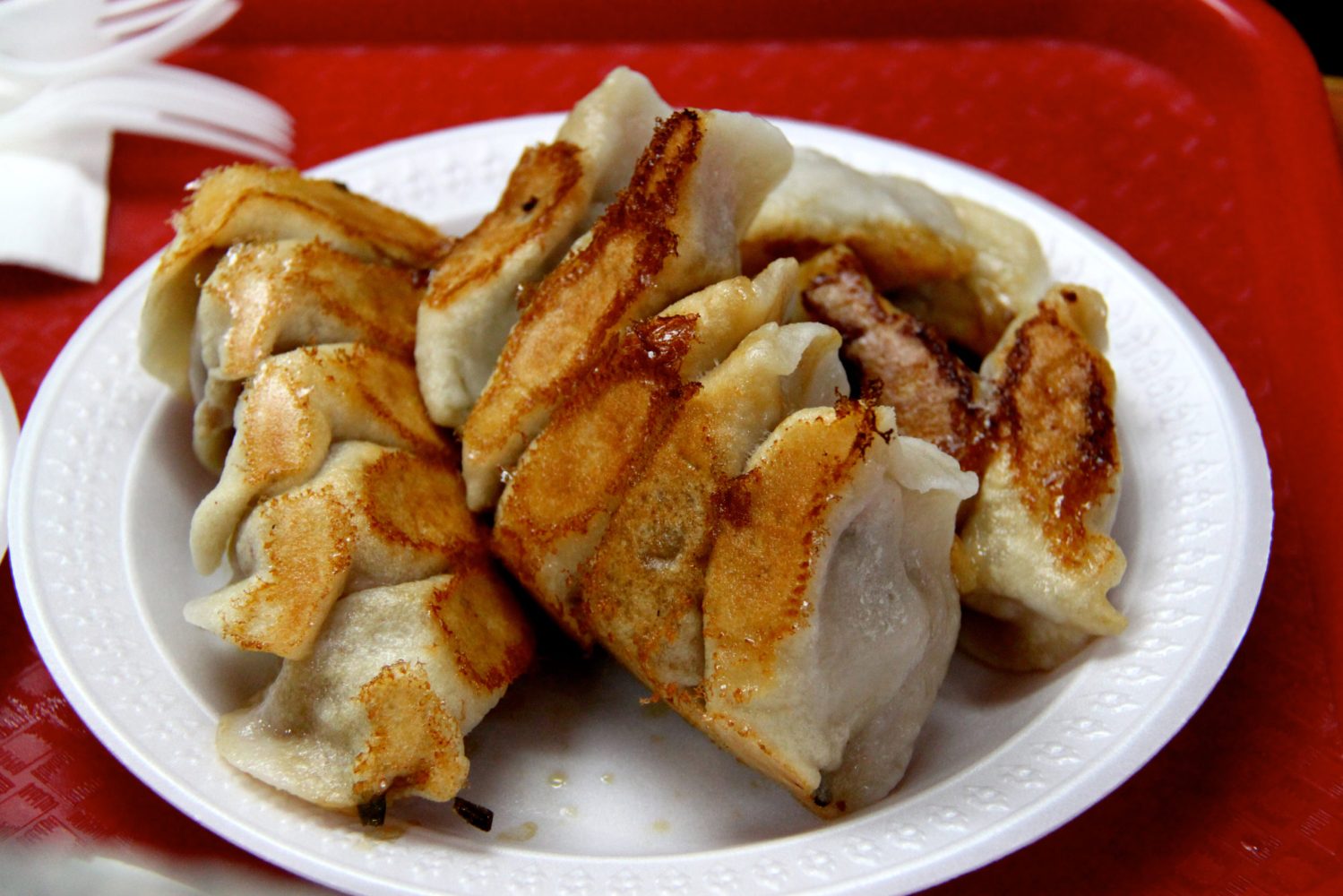 Fried Dumplings on a NYC Food Tour