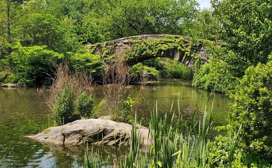 Central Park The Pond
